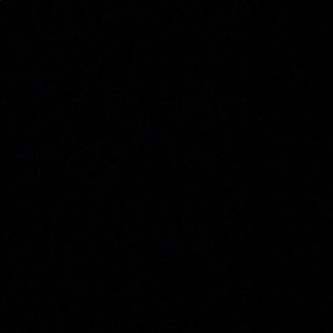 Meet your Posher, Zamir